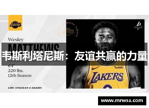 韦斯利塔尼斯：友谊共赢的力量